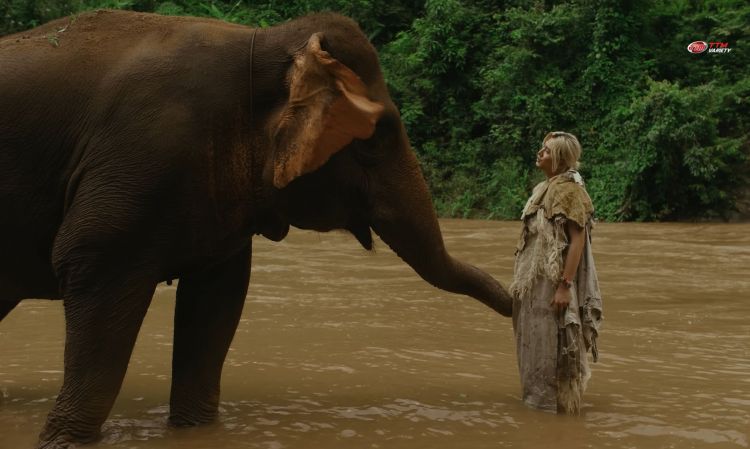 Fujii Kaze ปล่อยเอ็มวีเพลงใหม่ “Prema” ยกกองมาถ่ายในไทย ภาพสวยละมุนตา