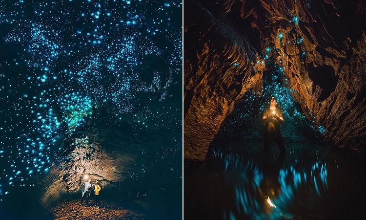 Waitomo Glowworm Caves ถ้ำหนอนเรืองแสง ที่นิวซีแลนด์