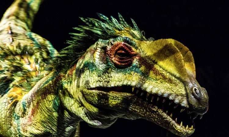 เปิด 5 ตัวเลข ที่ยืนยันว่า WALKING WITH DINOSAURS สุดยอดโชว์ไดโนเสาร์อันดับ 1 ของโลก